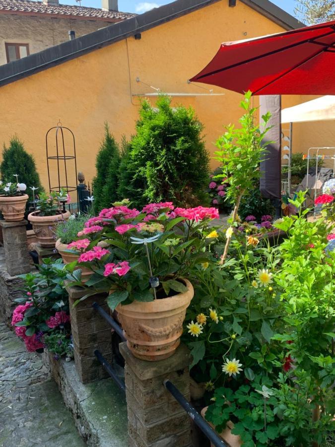Ferienhaus, Rustico Auf Burg Locarno Buitenkant foto